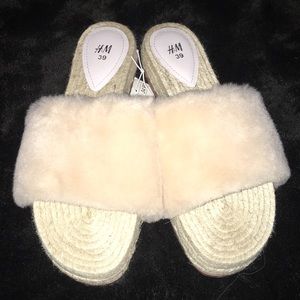 Brand new slippers